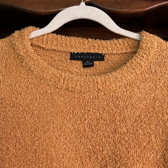 SANCTUARY Butterscotch Plush Bishop Sleeve Crew Neck Sweater, Size Medium, GUC. - Picture 4 of 10